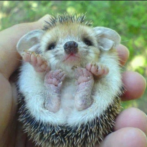 Meet your Posher, Jill - Picture 2 of 2